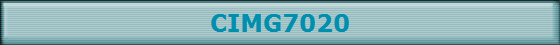 CIMG7020